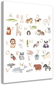 Obraz na plátně Barevná abeceda zvířat - 60x90 cm