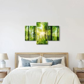 Obraz - Svitanie v lese (90x60 cm)