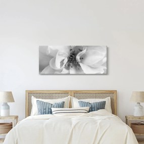 Obraz - Kvet, čiernobiela (120x50 cm)