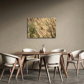Obraz - Obilie (70x50 cm)