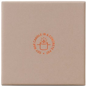 Vonná sójová sviečka doba horenia 40 h Mountain Sage – Gentlemen's Hardware