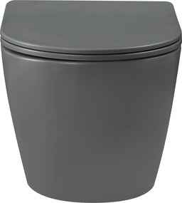 Invena Tavro, závesná misa 490x360x350 mm + WC sedadlo, QFS, šedá, INV-CE-71-007-Y