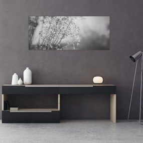 Obraz - Lúka po daždi (120x50 cm)