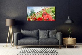 Obraz na skle Kvety príroda 125x50 cm