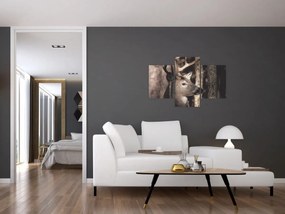 Obraz - Jeleň v lese (90x60 cm)