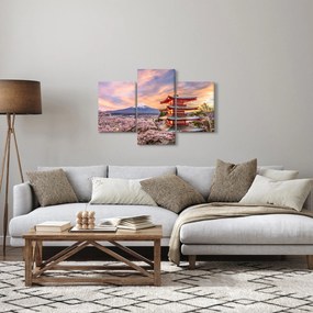 Obraz - Fuji (90x60 cm)