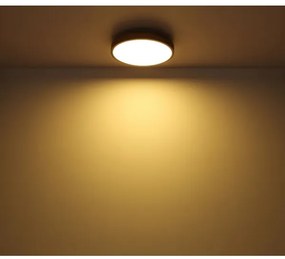 Globo 416080WD1R - LED Stropné svietidlo DORO LED/12W/230V pr. 30 cm