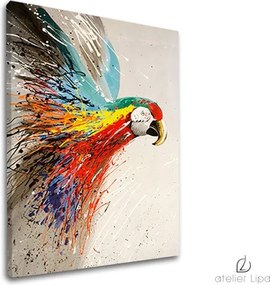 Autorská reprodukcia na plátne PAPAGÁJ XOBDA020E1