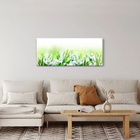 Obraz - Snežienky (120x50 cm)