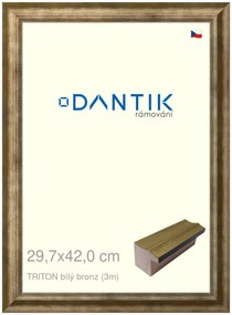 DANTIK rám na obraz 29,7x42 | TRITON bílý bronz (Plexi Čiré)