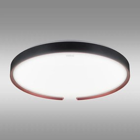 Stropná lampa ESPERANTO LED C 24W SMART WI-FI 04076 PL1