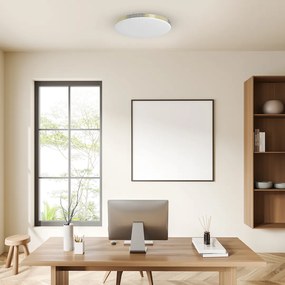 Stropné LED svietidlo Bever, 1x LED 16w, 4000k, g