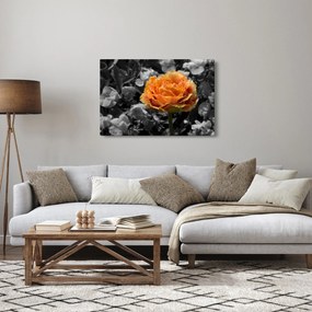 Obraz kvetu (90x60 cm)