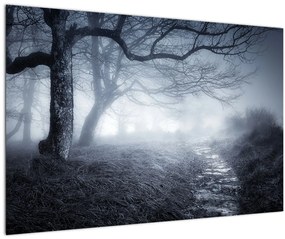 Obraz - Cesta v hmle (90x60 cm)