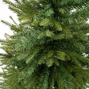 Vianočný stromček Smrek sivý, 150 cm