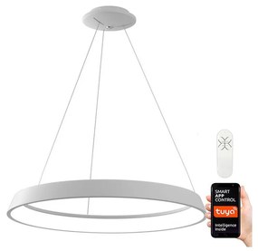 Immax Neo 07079L-80 - LED Stmievateľný luster na lanku LIMITADO LED/48W/230V 80 cm IM0237