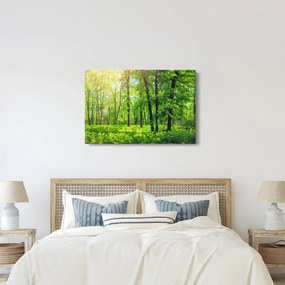 Obraz - Jarný listnatý les (90x60 cm)