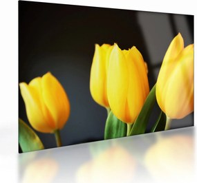 Sklenený obraz tulipánov (70x50 cm)