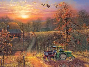 Puzzle 275 dielikov Jesenné slnko