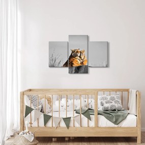 Obraz - Tigrice a jej mláďa, čiernobiely variant (90x60 cm)