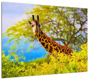 Sklenený obraz žirafy v Afrike (70x50 cm)