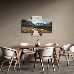 Obraz - Chodník v údolí hory Mt. Cook (90x60 cm)