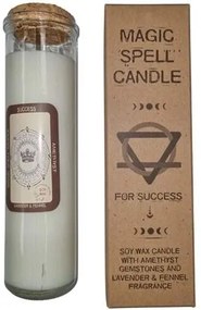 Očistná sviečka sójová Úspech 280g