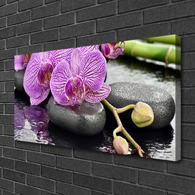 Obraz Canvas Kamene zen orchidea kúpele 120x60 cm