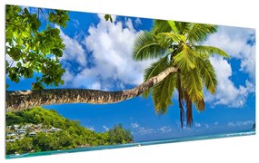 Obraz palmy a pláže (120x50 cm)