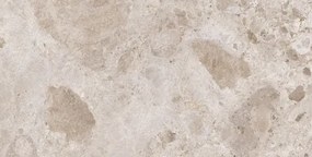 Dlažba Argenta Petra taupe 60x120 cm mat PETRA612TA