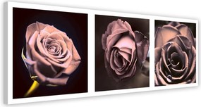 Obraz na plátně Panoramatická sada růží - 120x40 cm