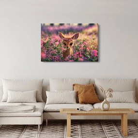 Obraz - Roztomilá srnčeka (90x60 cm)