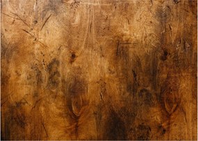 Obraz - Detail dreva (70x50 cm)