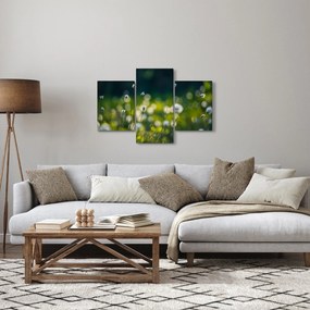 Obraz - Tráva (90x60 cm)