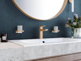 Hansgrohe AddStoris, nádobka na ústnu hygienu, kartáčovaný bronz, HAN-41749140