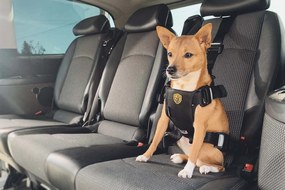 BabyAutoPets BabyPets TRAVEL FIX systém S BLACK