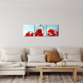 Obraz poľa s jasne červenými kvetmi (s hodinami) (90x30 cm)