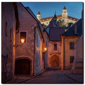 Obraz na plátne - Bratislava staré mesto s hradom vzadu - štvorec 3265A (80x80 cm)