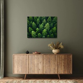 Obraz - Les (70x50 cm)