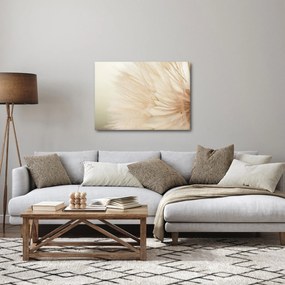 Obraz - Detaily kvetu (70x50 cm)