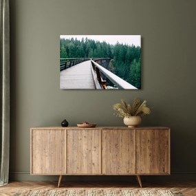 Obraz - Most k vrcholkom stromov (90x60 cm)