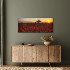 Obraz lúky s vlčími makmi (120x50 cm)