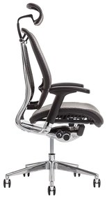Kancelárska ergonomická stolička Office Pro LACERTA — viac farieb, nosnosť 150 kg Antracit