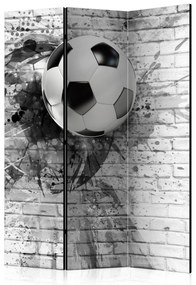 Artgeist Paraván - Dynamic Football [Room Dividers]