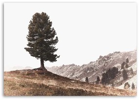 Gario Obraz na plátne Strom na kopcoch Rozmery: 60 x 40 cm