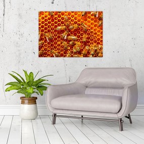 Sklenený obraz - Medový plást (70x50 cm)
