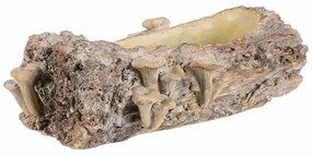 Betonový obal - truhlík, drevo s hubami, 36 x 18 x13 cm, hnedá