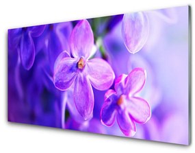 Skleneny obraz Fialové kvety príroda 125x50 cm