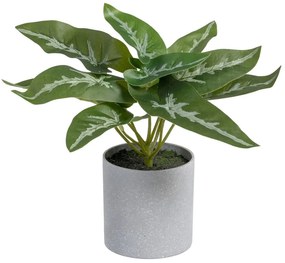 Umelá rastlina (výška 21 cm) Syngonium – Ixia