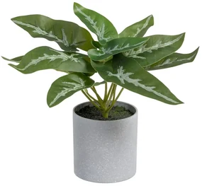 Umelá rastlina (výška 21 cm) Syngonium – Ixia